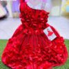 Red Rose Frock